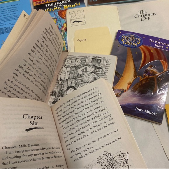 🎉2/30 Set of 12 Books Early Reader RL3 Illustrated Elementary School Stories - Picture 4 of 9